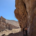 PXL_20250223_175617315